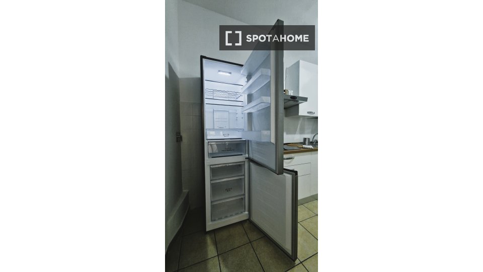 Immagine 11 di Camera condivisa in affitto  in Lungotevere di Pietra Papa a Roma