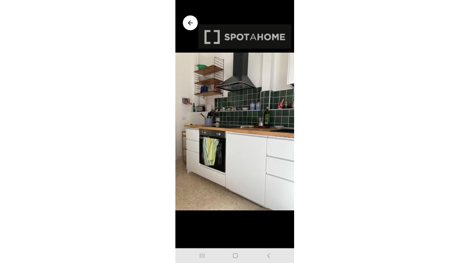 Foto annuncio 5