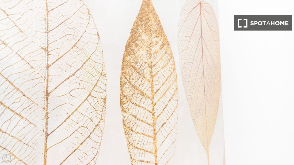 Immagine 9 di Appartamento in affitto  in Via Vincenzo Monti a Milano