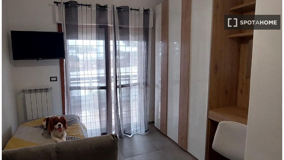 Immagine 1 di Camera condivisa in affitto  in Via di Torre Gaia a Roma