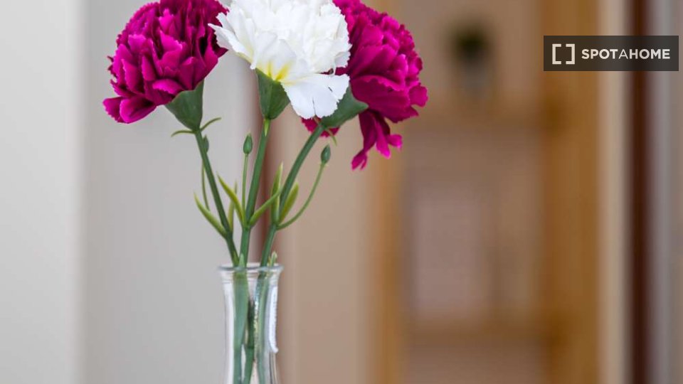 Immagine 16 di Camera condivisa in affitto  in Via Dei Mandorli Milan a Buccinasco