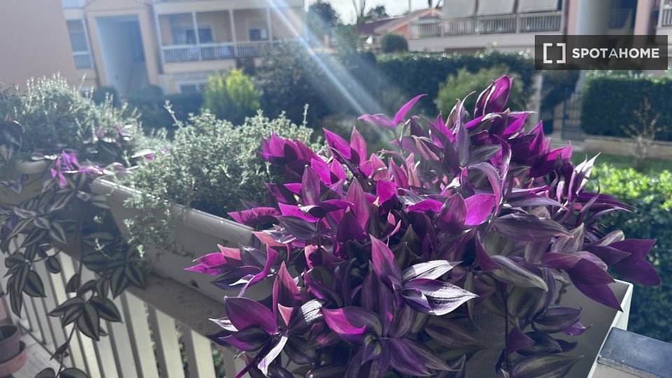 Immagine 15 di Camera condivisa in affitto  in Via Elena Brandizzi Gianni a Roma