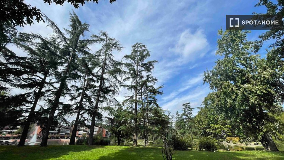 Immagine 3 di Appartamento in affitto  in Via Giotto a Basiglio