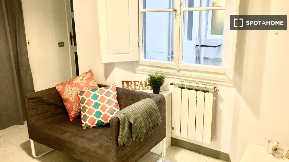 Immagine 17 di Camera condivisa in affitto  in Via del Ponte Rosso a Firenze