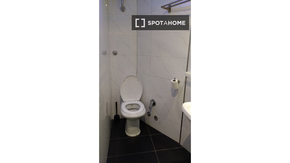 Immagine 15 di Camera condivisa in affitto  in V.le Leonardo da Vinci a Roma