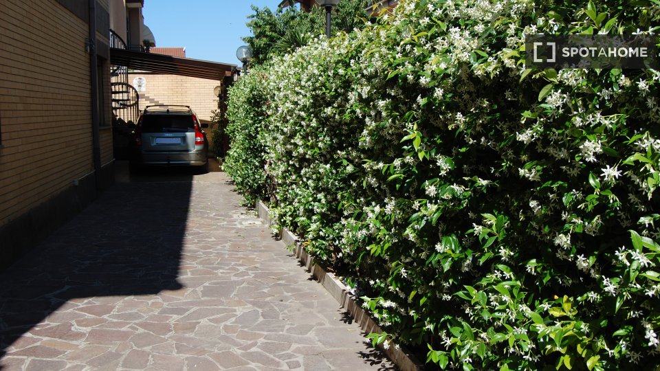 Immagine 2 di Ufficio in affitto  in Via Alberto Amerani a Roma