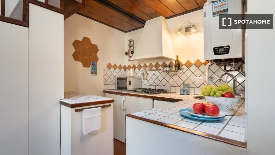 Immagine 10 di Appartamento in affitto  in Via Giuseppe Verdi a Firenze