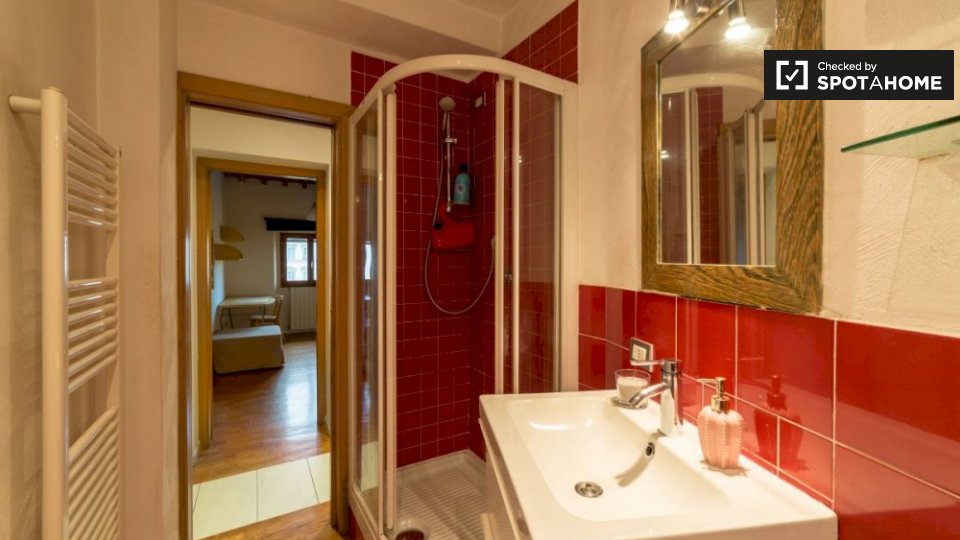 Immagine 15 di Camera condivisa in affitto  in Via del Ponte alle Mosse a Firenze