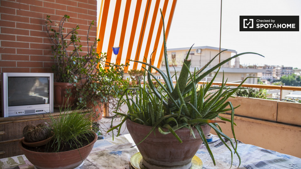 Immagine 14 di Camera condivisa in affitto  in Via Paolo V a Roma