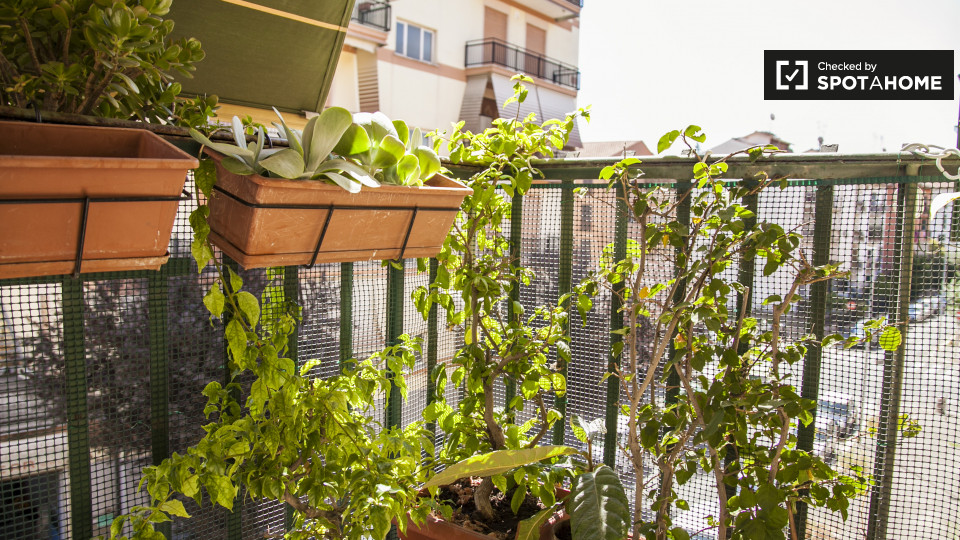 Immagine 11 di Camera condivisa in affitto  in Via dei Crispolti a Roma