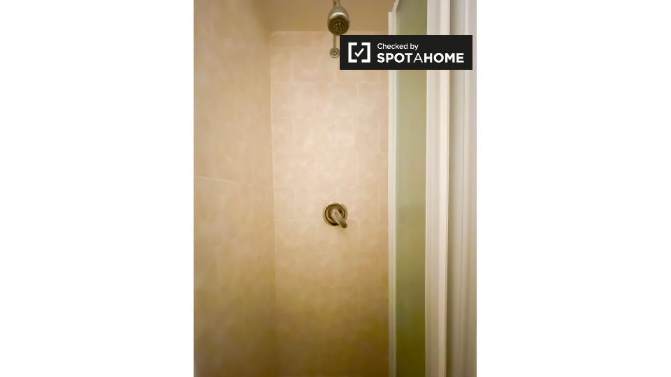 Immagine 9 di Camera condivisa in affitto  in Piazza Vittorio Emanuele II a Roma