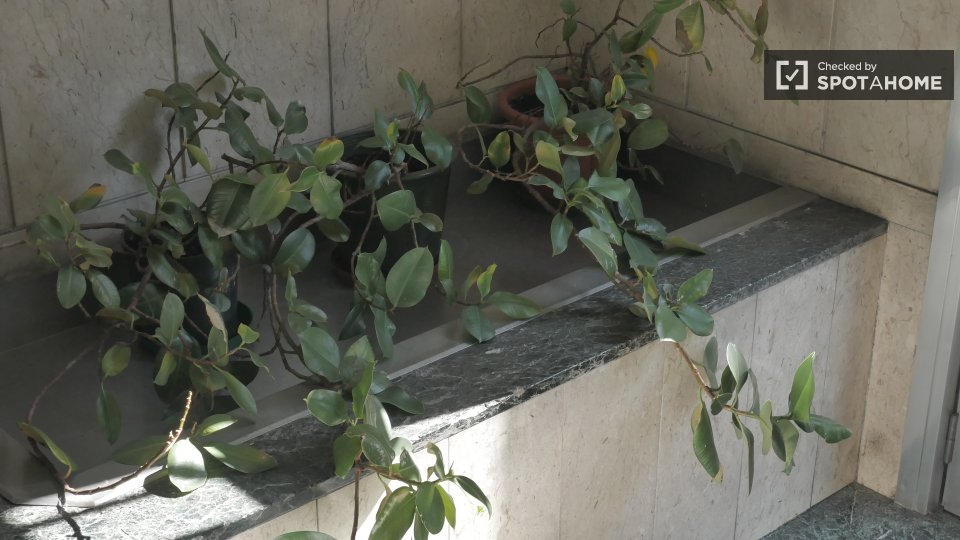 Immagine 19 di Appartamento in affitto  in Via Privata Fonzaso a Milano