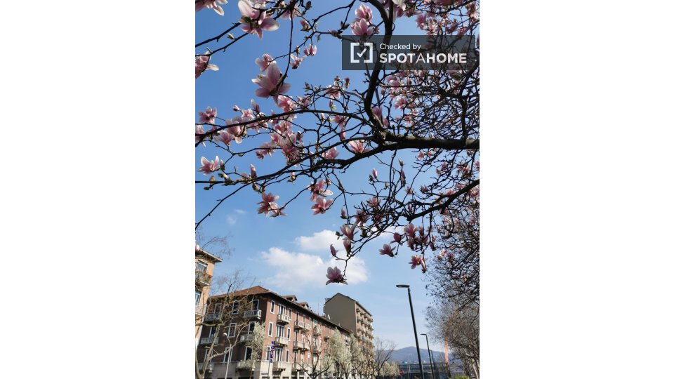Immagine 18 di Camera condivisa in affitto  in Piazza Tancredi Galimberti a Torino