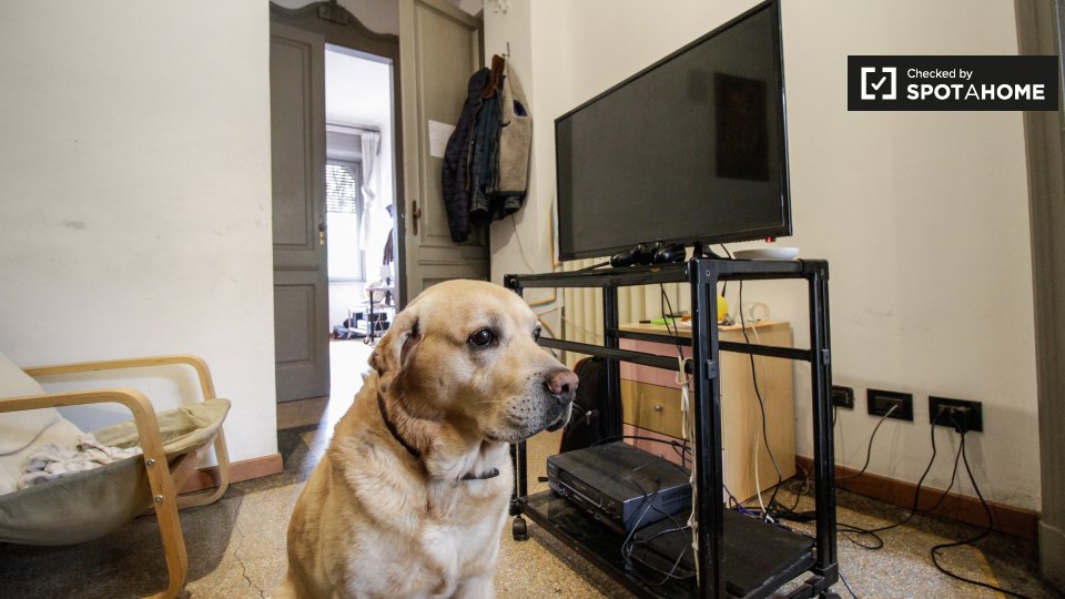 Immagine 9 di Camera condivisa in affitto  in Corso S. Maurizio a Torino