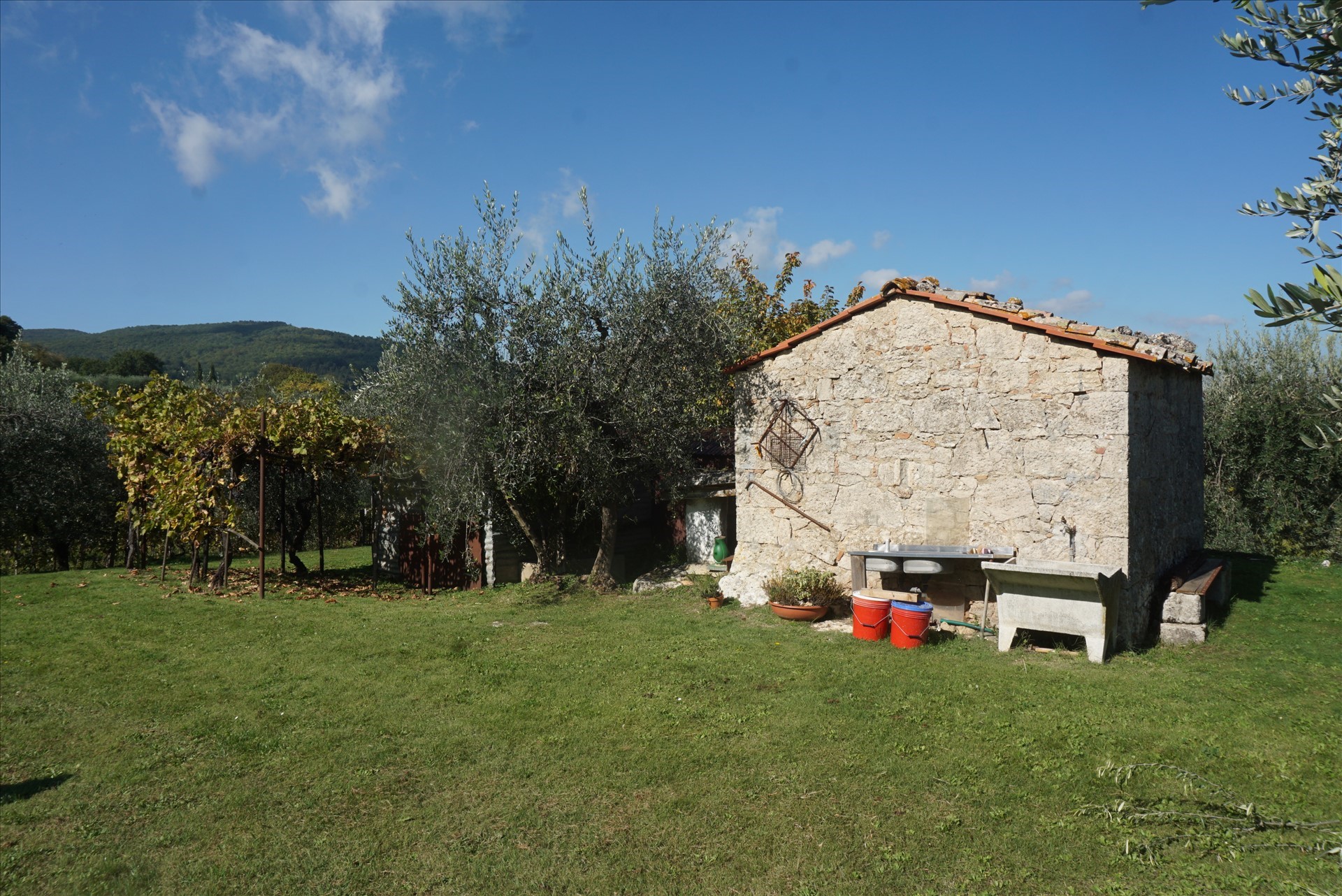 Foto annuncio 1