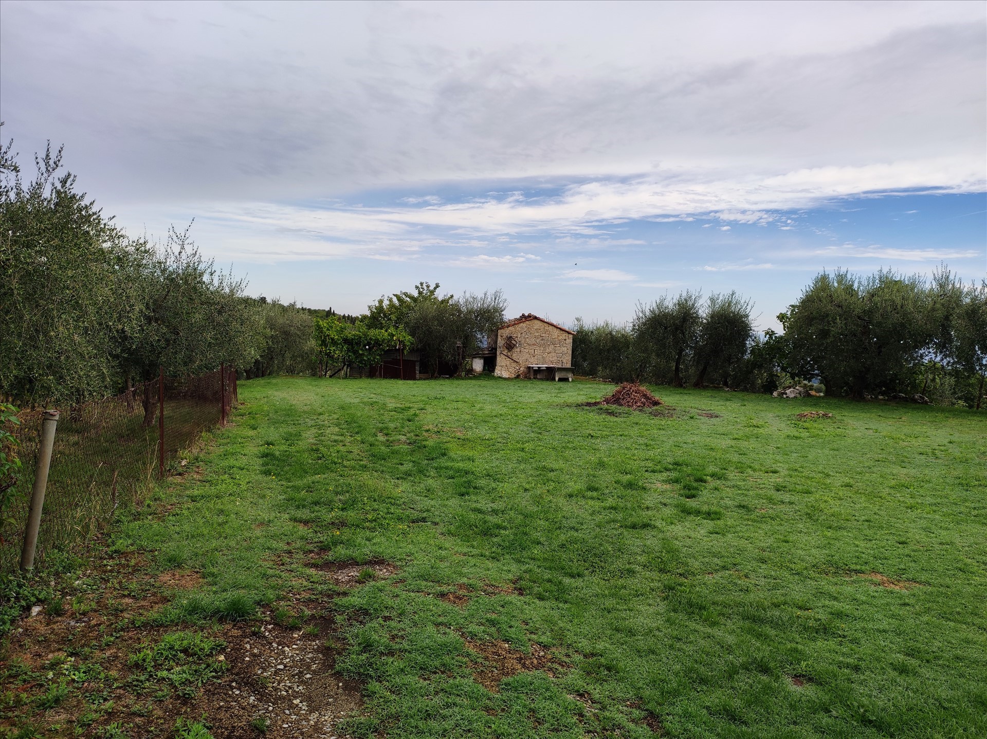 Foto annuncio 5
