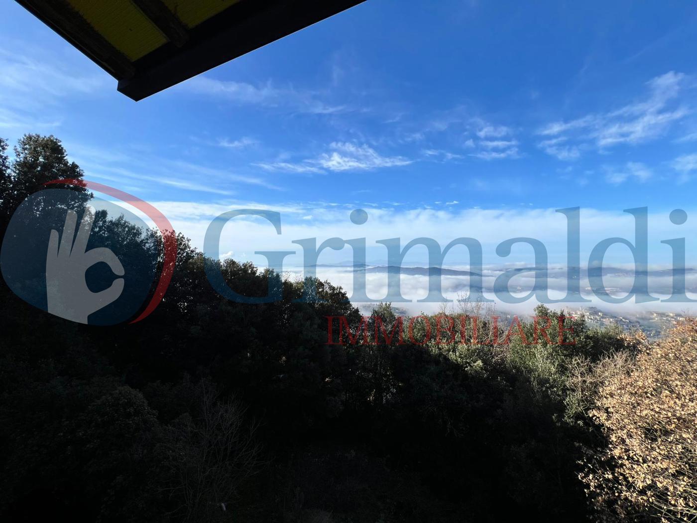 Foto annuncio 38