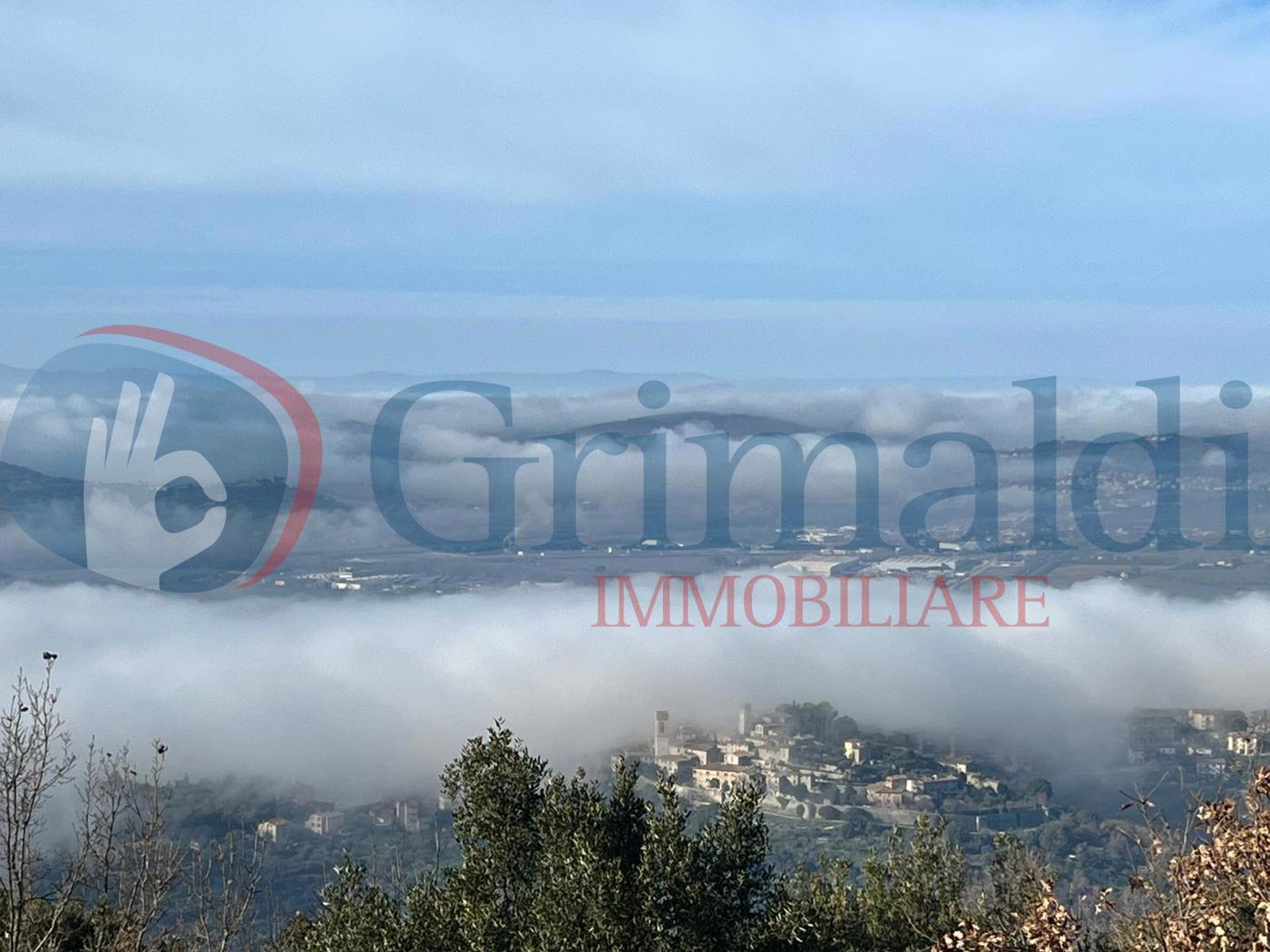Foto annuncio 34