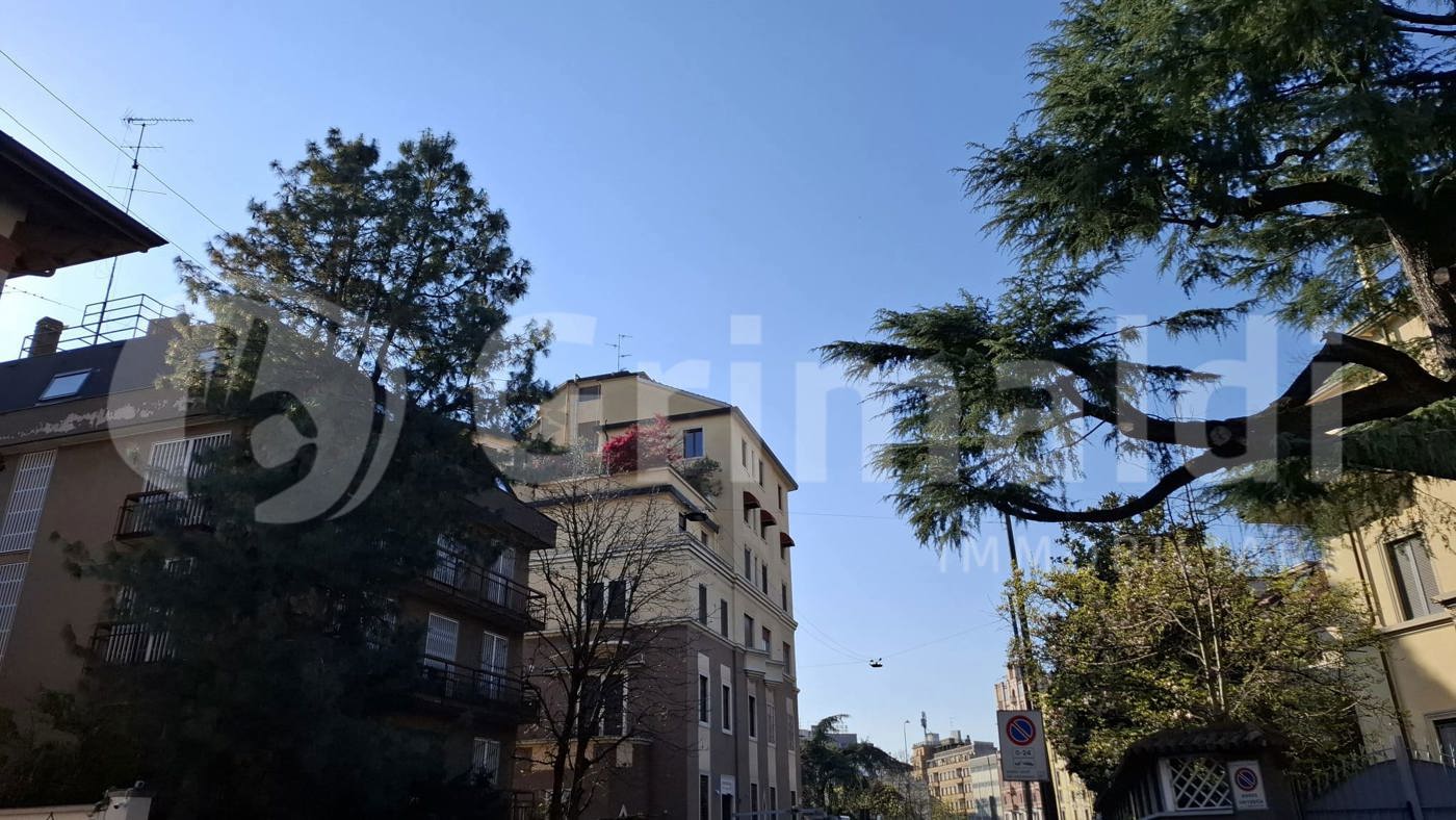 Foto annuncio 12