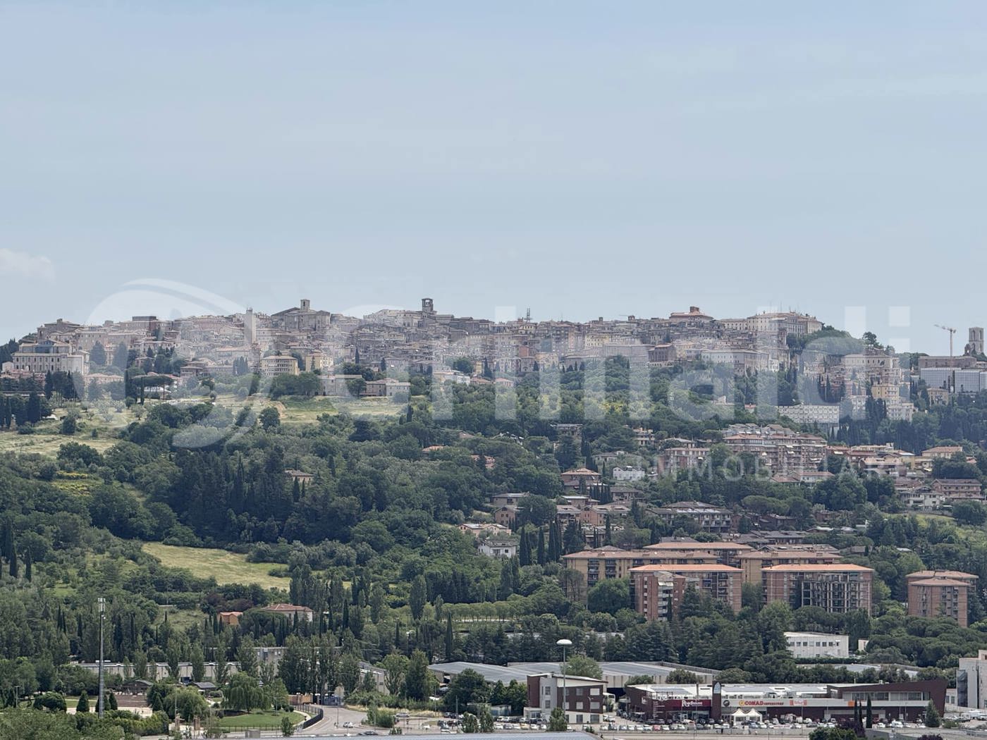Foto annuncio 28