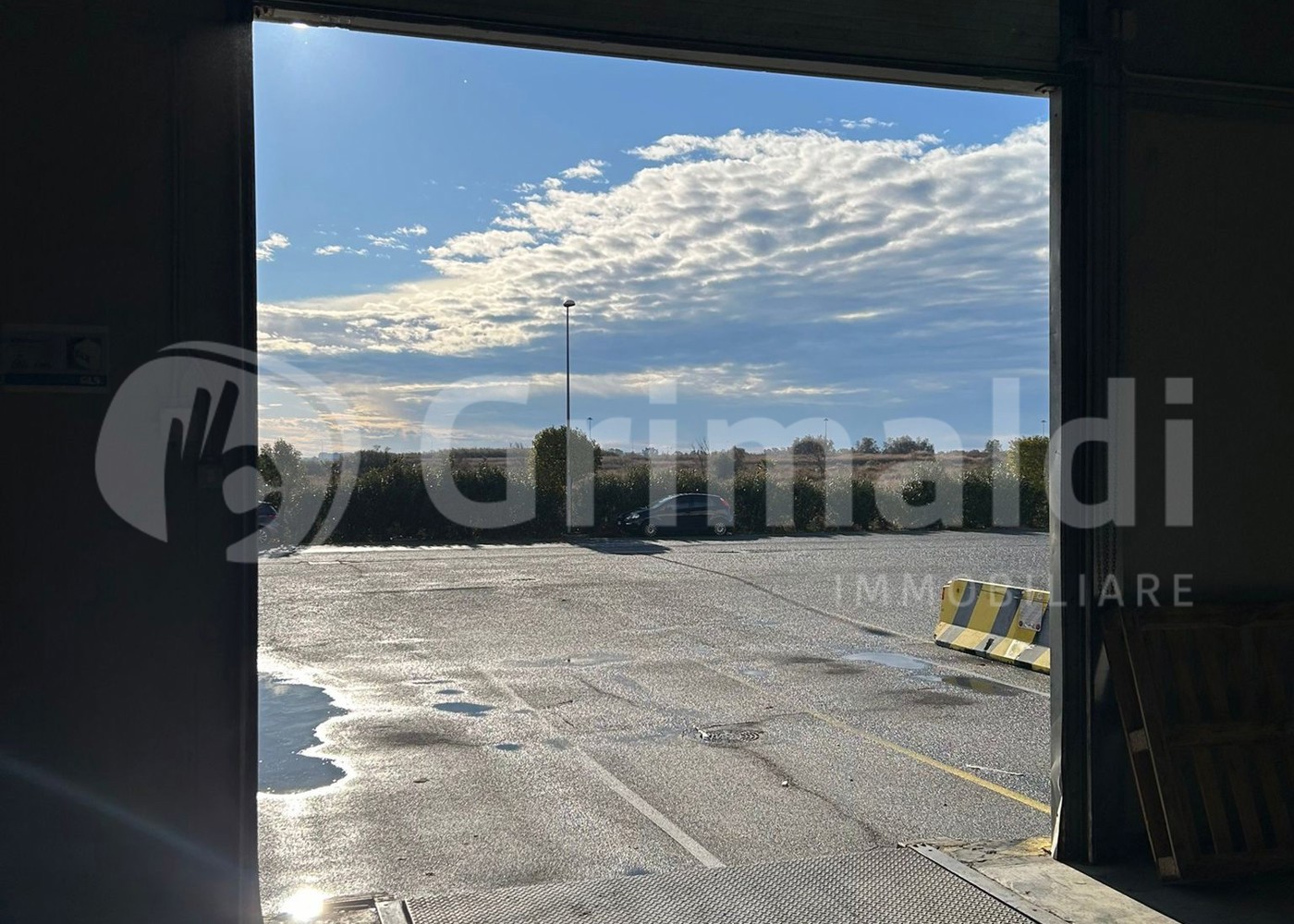 Foto annuncio 5