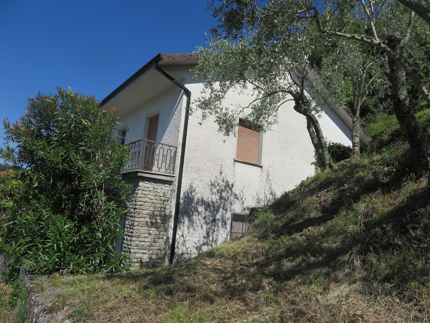 Foto annuncio 2