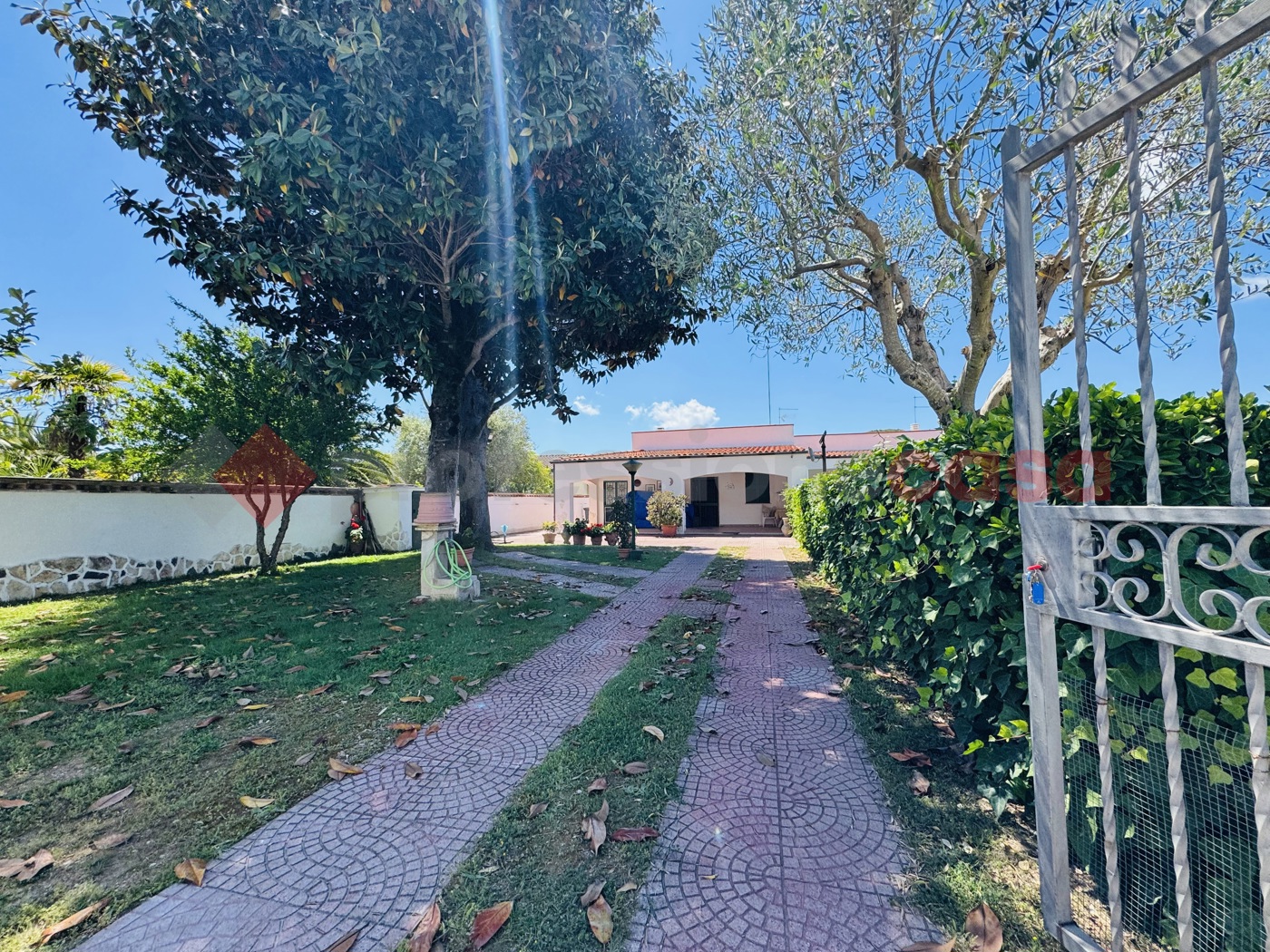 Foto annuncio 36
