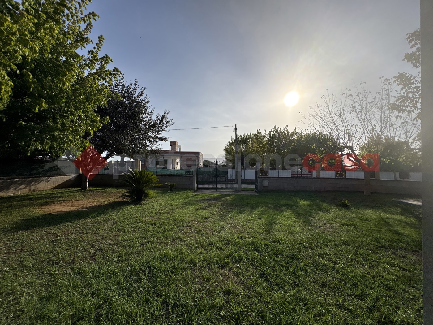 Foto annuncio 28