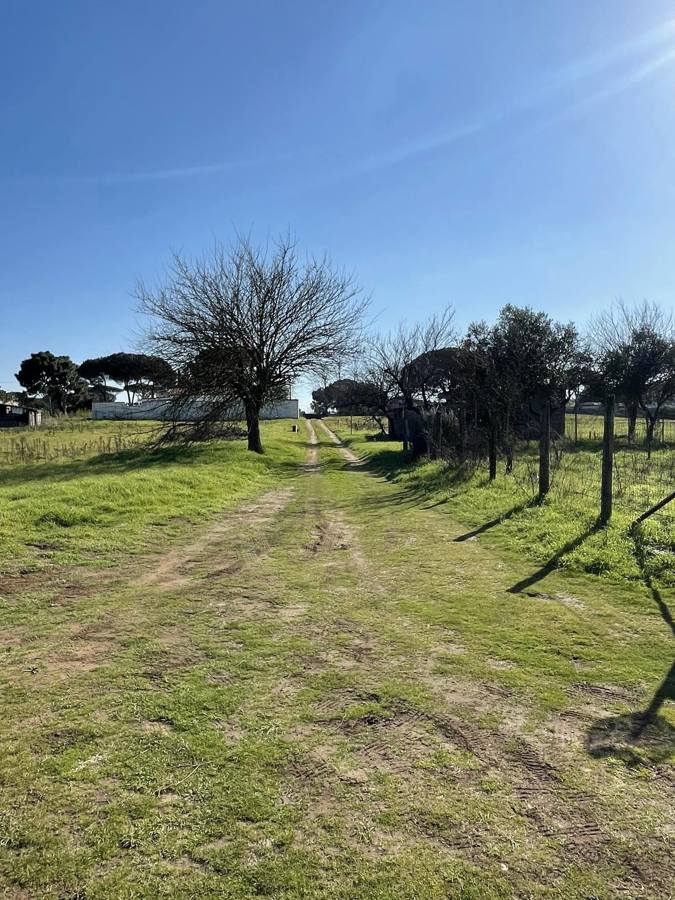 Foto annuncio 9