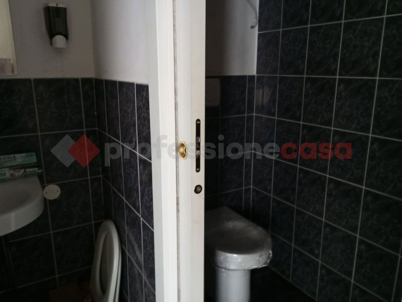 Foto annuncio 11