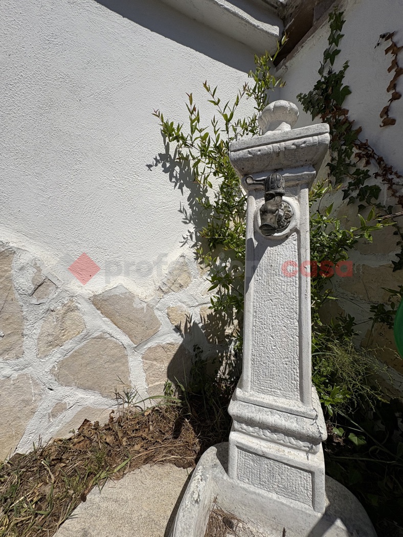 Foto annuncio 22