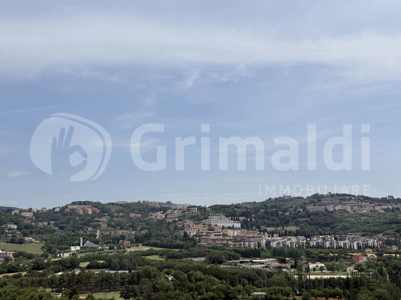 Foto annuncio 19