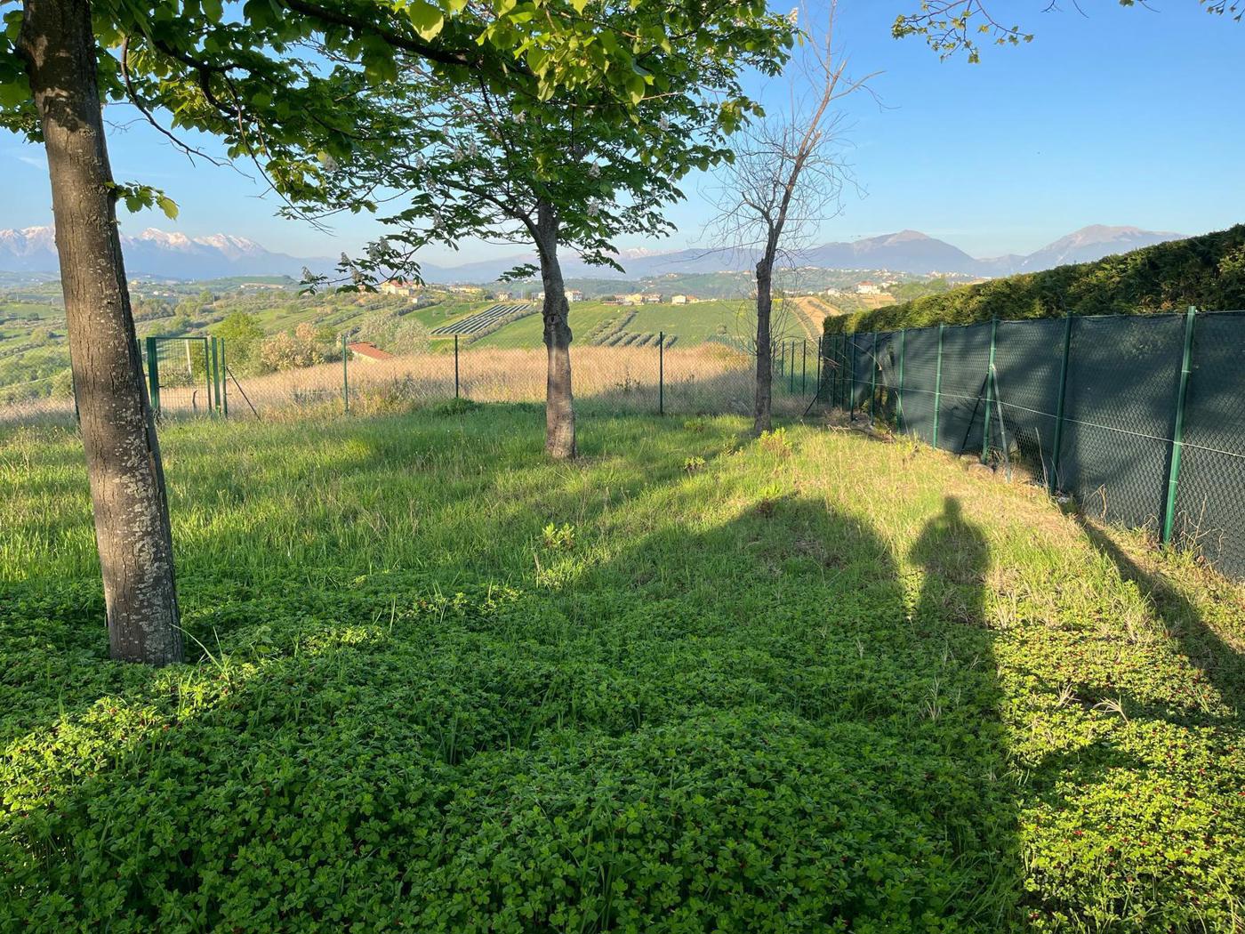 Foto annuncio 29