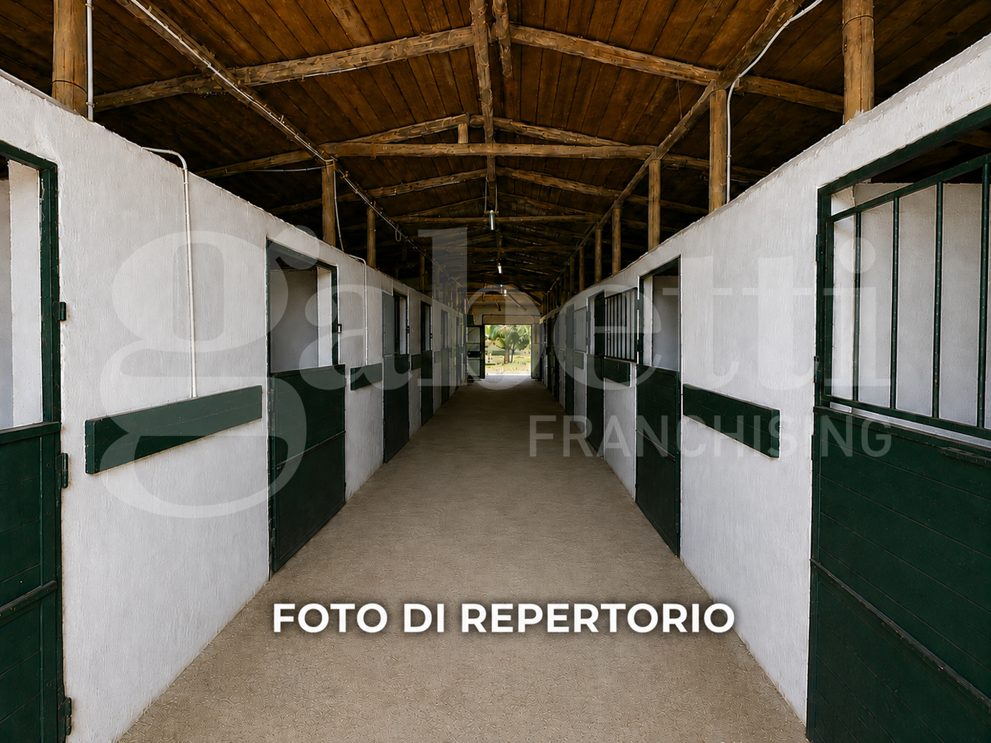 Foto annuncio 7