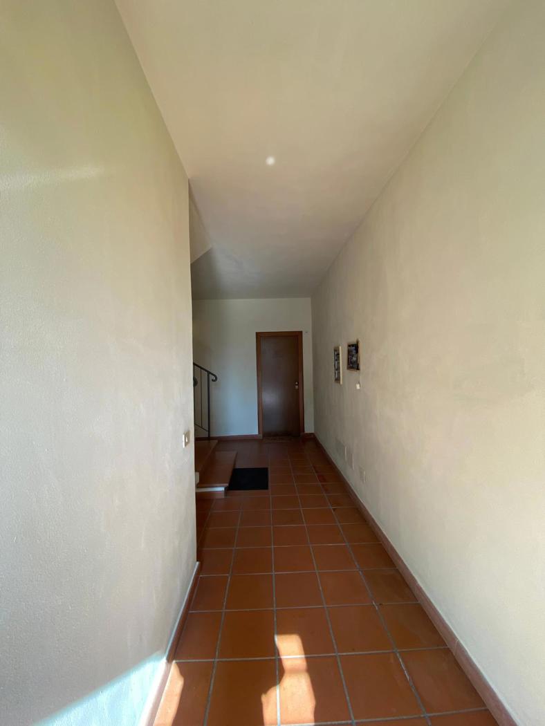 Foto annuncio 24