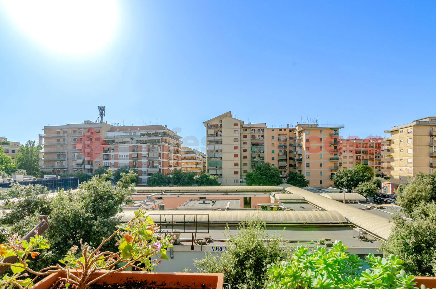 Foto annuncio 18