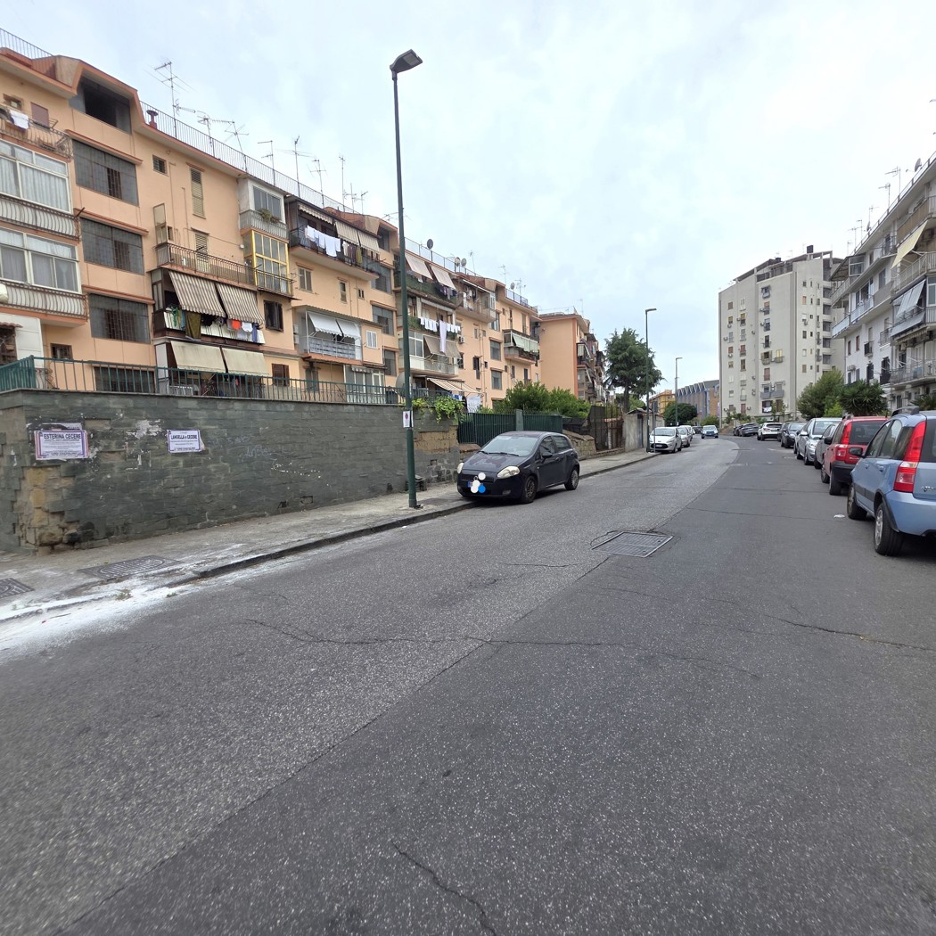 Foto annuncio 45