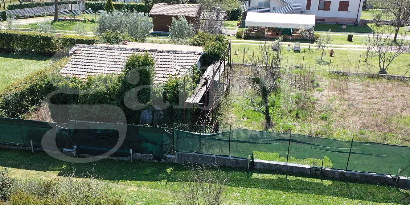 Foto annuncio 6