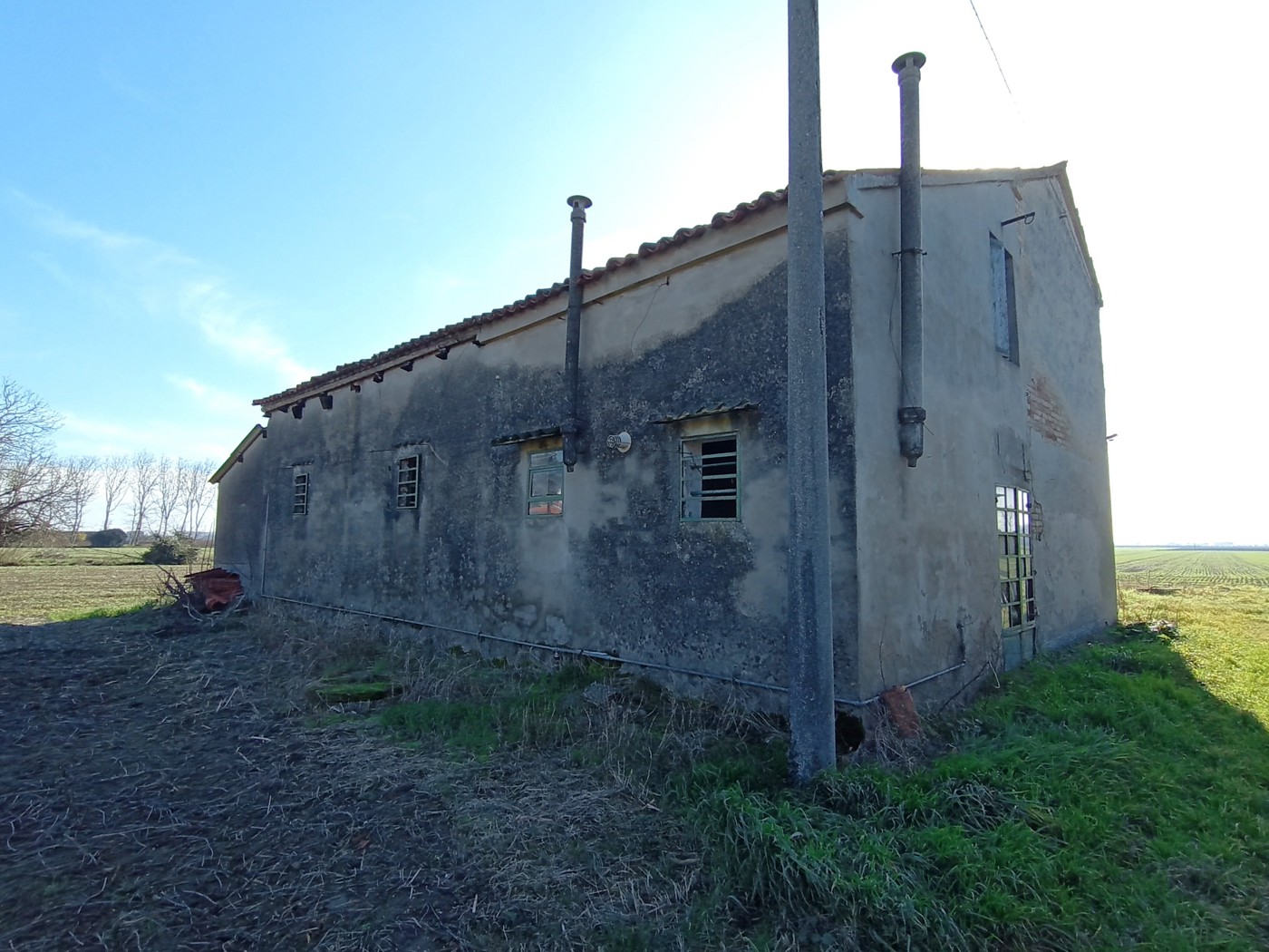 Foto annuncio 24
