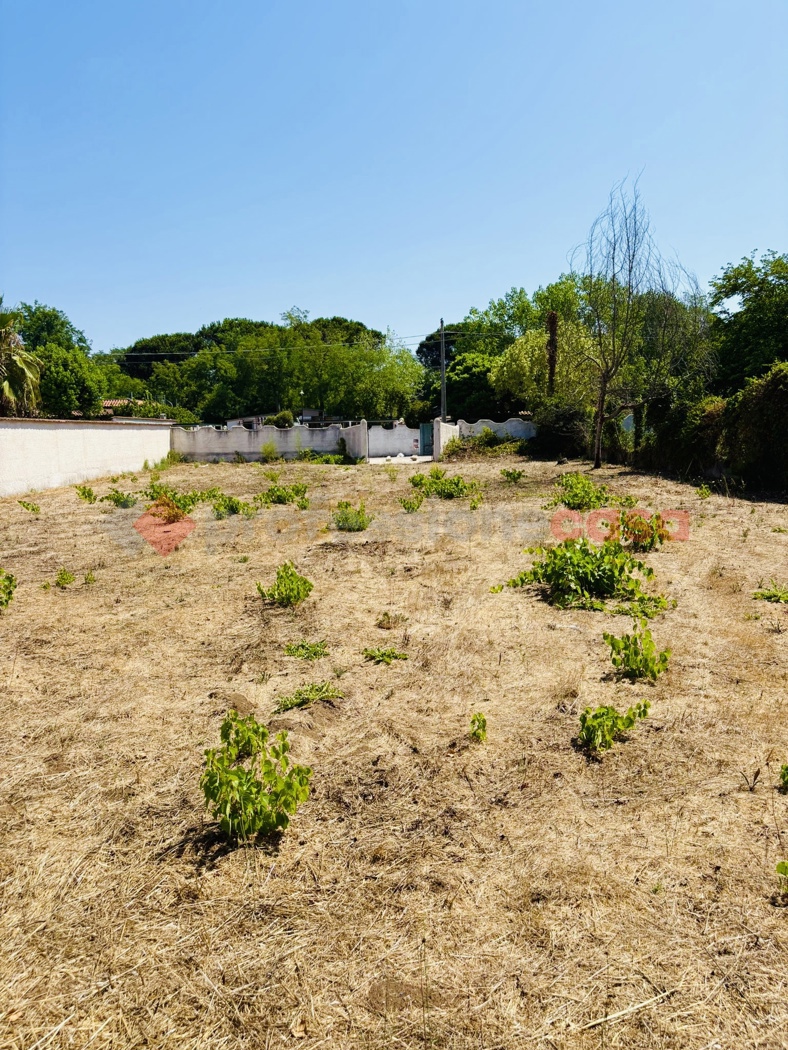 Foto annuncio 34