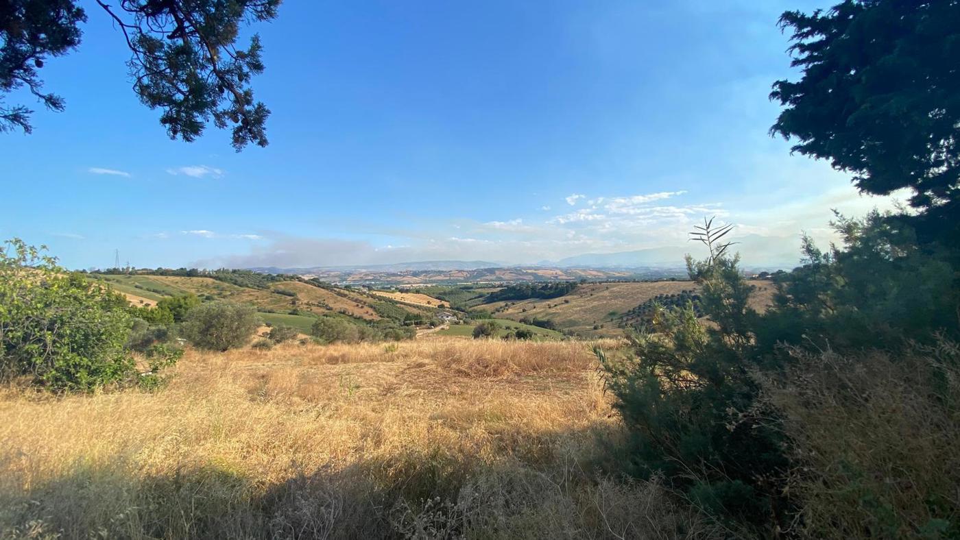 Foto annuncio 10