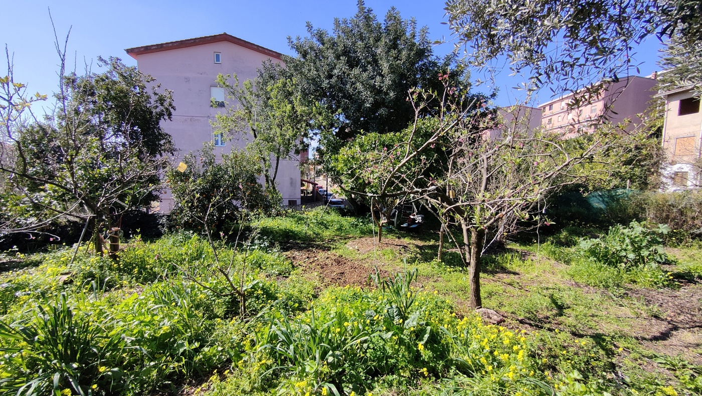 Foto annuncio 3