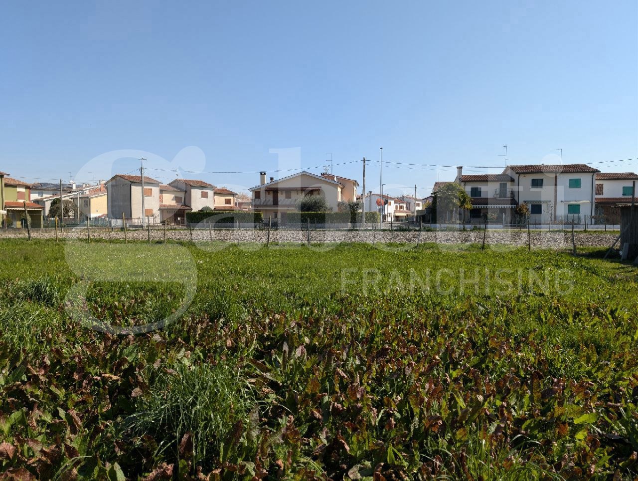 Foto annuncio 9