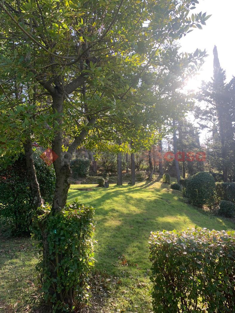 Foto annuncio 35