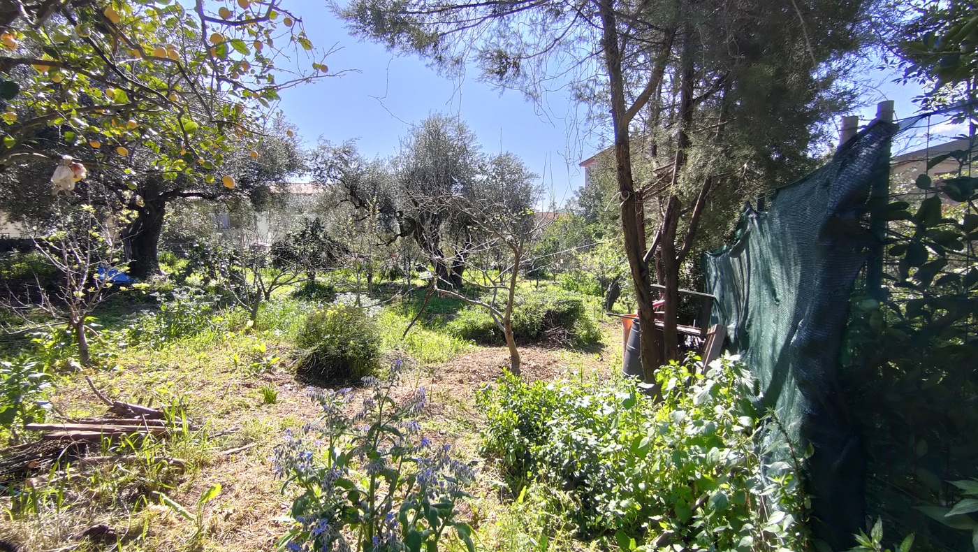 Foto annuncio 5