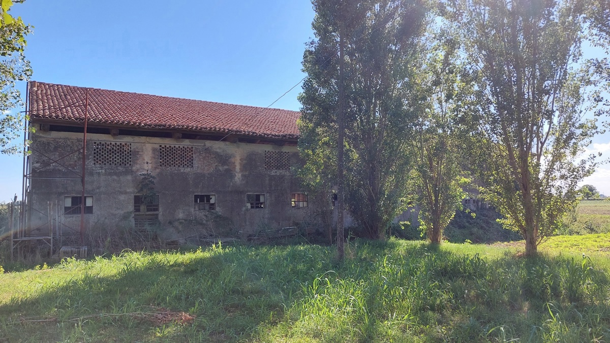 Foto annuncio 1