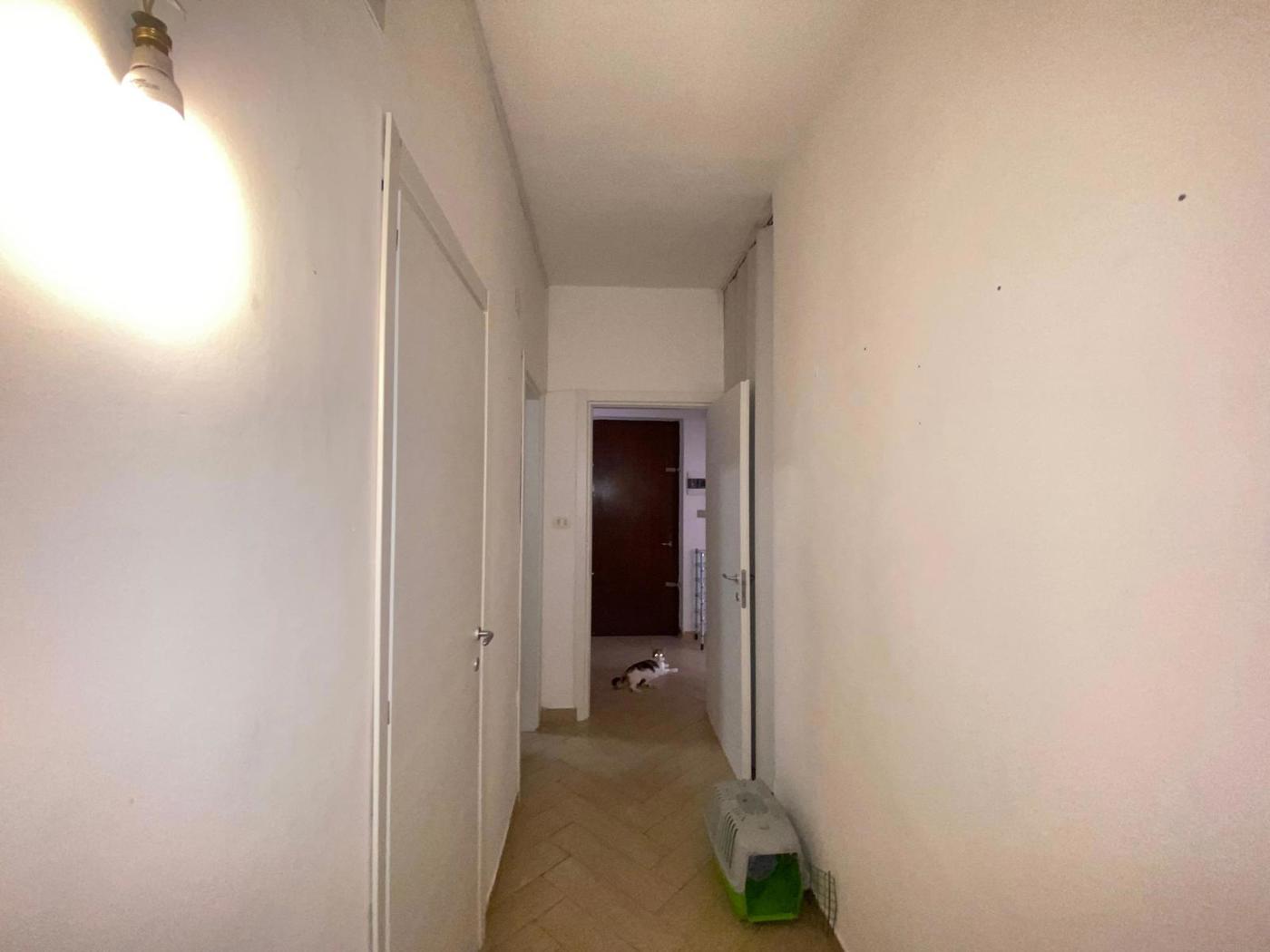 Foto annuncio 31