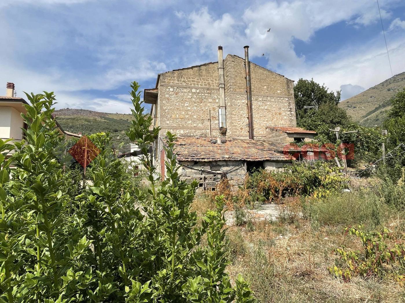 Foto annuncio 29