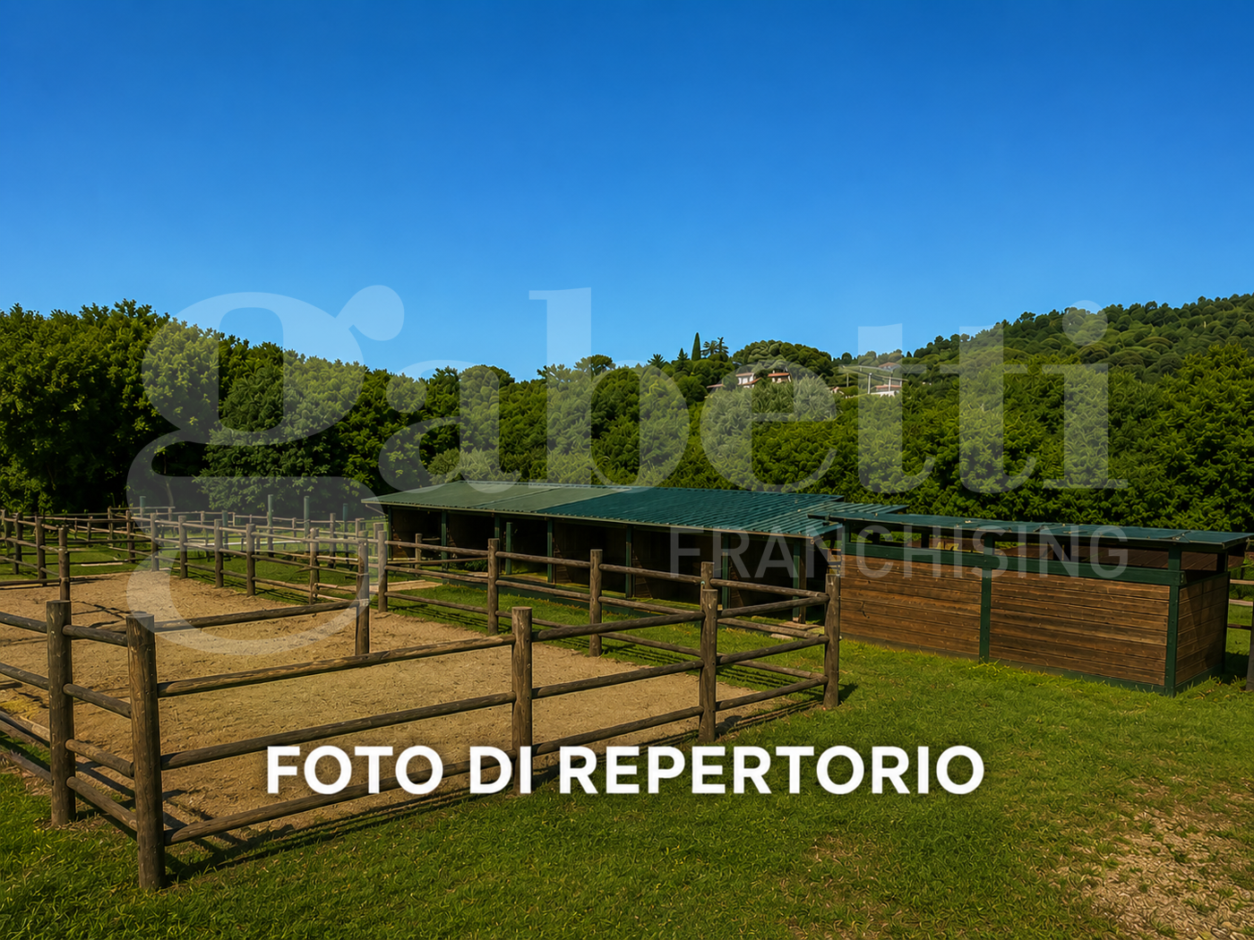 Foto annuncio 6
