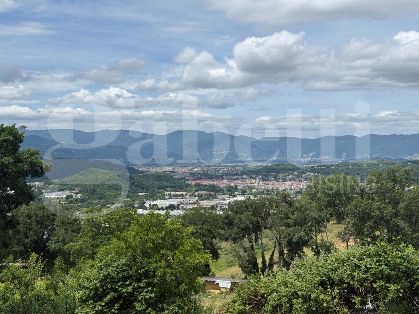 Foto annuncio 48